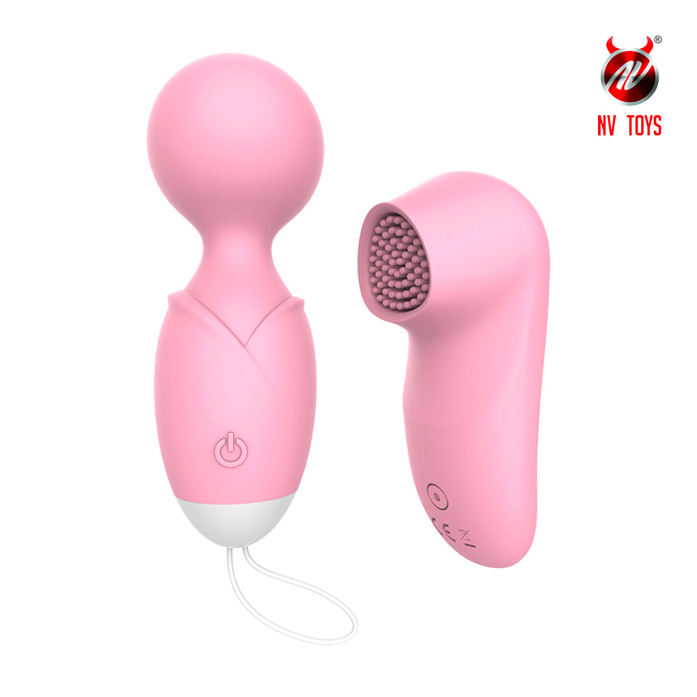 MV077-ROSA-01.jpg